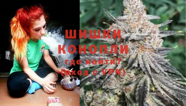 СК Дмитров